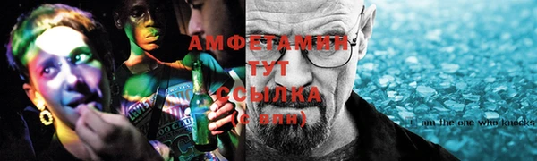 твердый Медногорск