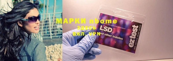 твердый Медногорск