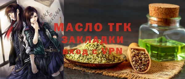 твердый Медногорск