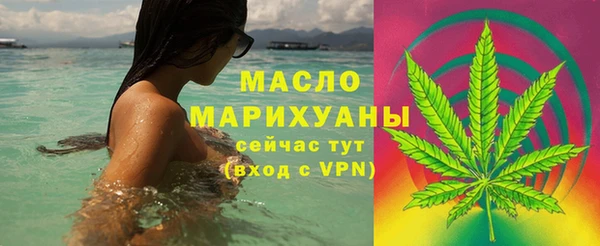 твердый Медногорск